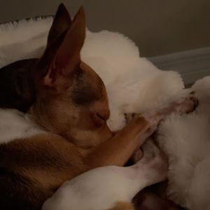 Meet your Posher, Kellie